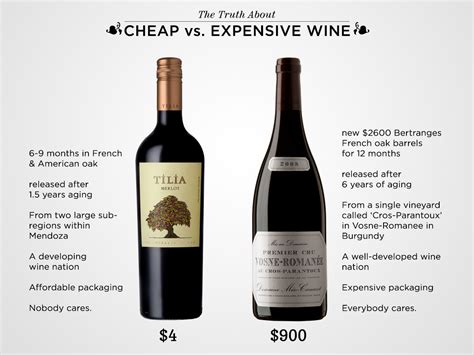 truth  cheap  expensive wine wine folly