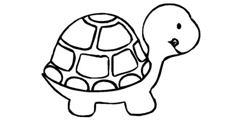 turtle coloring pageswallpaperspictures