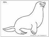 Coloring Pages Seal Kids Crafts Artic Printable Animals Animal Templates Craft Winter Printables Preschool Ocean Themes Activities Theme Firstpalette sketch template