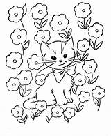 Coloring Pages Easter Printable Cat Kids Color Children Fun Sheets Kitten Print Colouring Flowers Kitty Number Cats Library Flower Clipart sketch template