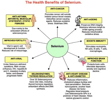 in conclusion selenium benefits your health in many ways