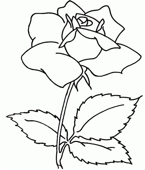 simple coloring pages  adults flowers