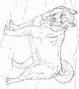 Husky Siberiano Colorear Dibujosonline Perro Categorias sketch template