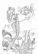 Meerjungfrauen Meerjungfrau Malvorlagen Erwachsene Einhorn Feen Gedownloadete Meist Zeichnungen sketch template