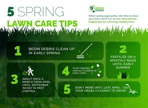 Spring Lawn Care Tips Grow Your Lawn Swazy And Alexander Landscaping