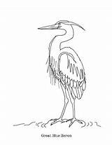 Heron sketch template