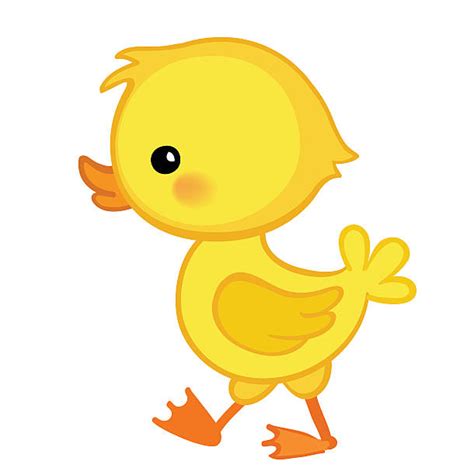 Best Duckling Illustrations Royalty Free Vector Graphics