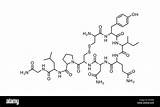 Chemical Symbol Formula Oxytocin Reaction Elements Alamy Science sketch template