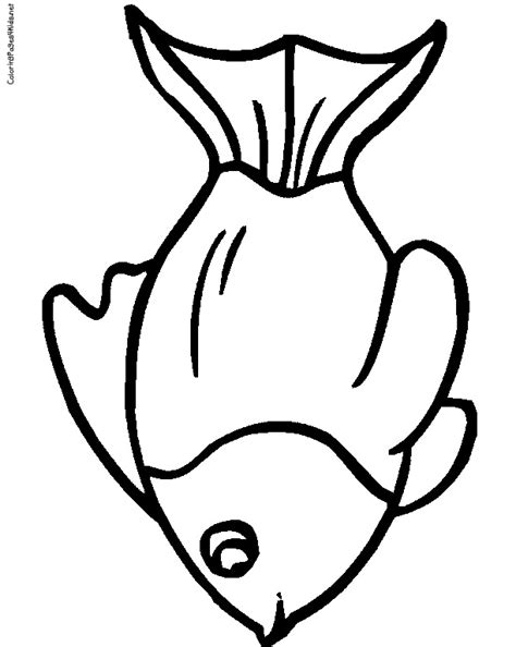 goldfish bowl coloring page coloring pages