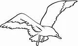 Seagull Outline Clipart Clip Cliparts Seagulls Coloring Library Wikiclipart Pages Super Clipground sketch template