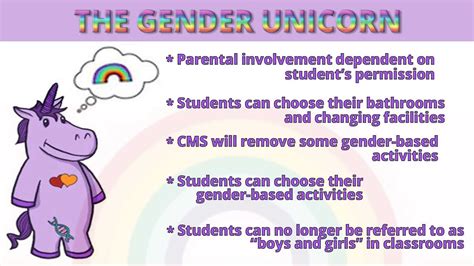 Gender Fluid Gender Unicorn And Gender Madness In Our