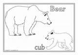 Animals Young Their Colouring Coloring Pages Sparklebox sketch template