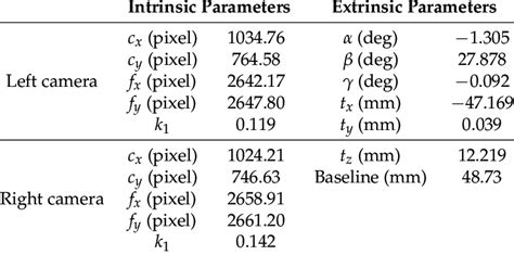 calibrated intrinsic  extrinsic parameters