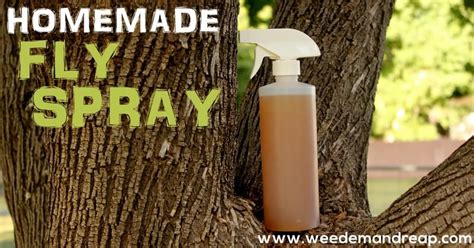 homemade fly spray