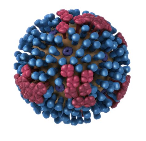 viruses biology  humanworld  viruses