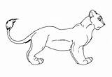 Cougar Coloring Pages sketch template