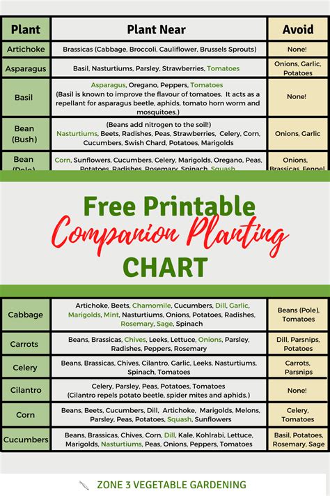 printable companion planting chart companion planting chart