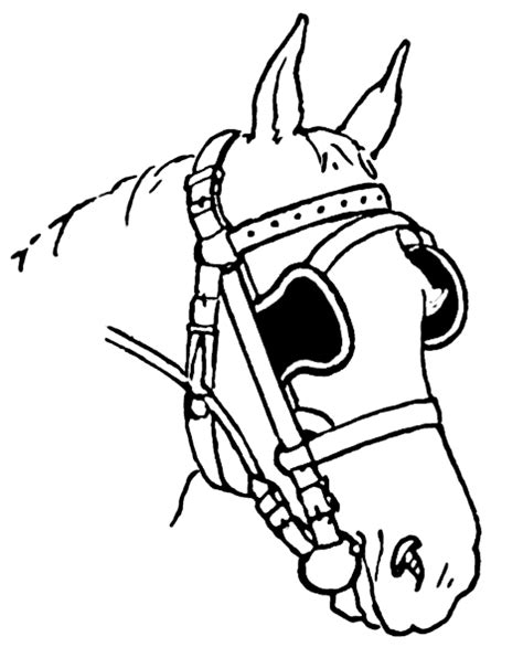 coloring pages  horse heads coloring pages clipart  clipart