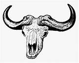 Skull Buffalo Clipart Drawing African Ox Sheep Svg Transparent Clip Icon Icons Downloads Pngitem Cattle Clipground Webstockreview Bovine Africa Original sketch template