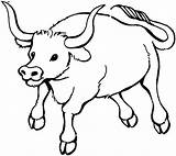 Ox Coloring Pages Getcolorings Color Printable Musk sketch template