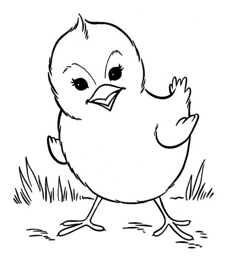 printable farm animal coloring pages  kids bird coloring