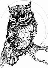 Owl Zentangle Zentangles Coloring Pages Adult Owls Colouring Buho Tattoo Patterns Drawing Fosterginger Birds Drawings Book Visit Sgraffito Horned Uploaded sketch template
