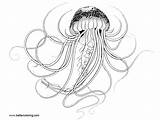 Jellyfish Coloring Drawing Pages Hand Kids Printable sketch template