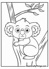 Koalas Furry Nap Preparing Ears sketch template