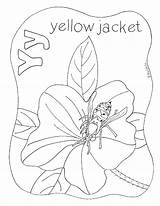 Yellowjacket Homeschool sketch template