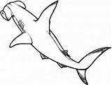 Hammerhead Squalo Martello Martillo Hammerhai Pez Sharks Fish Pesci Printmania Kidsplaycolor sketch template