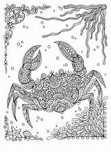 Colouring Zentangle Mindfulness Crab Fanta Marins Crabby Colorier Coloriages sketch template