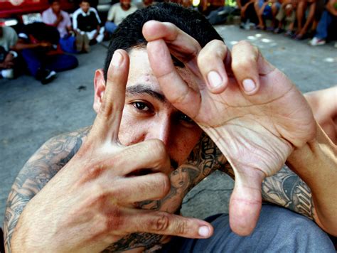 strange    latin americas largest street gangs