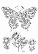 Coloring Butterflies Pages Adults Katerina Book 그림 Kittens Butterfly 만다라 Books 도안 Adult Print 나비 Colorarty 출처 sketch template