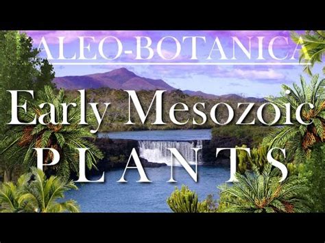 evolution   early mesozoic plants youtube