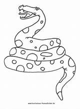 Schlange Schlangen Ausmalen Ausmalbild Malvorlage Kaa Verwandt Kinderbilder Dschungelbuch Klapperschlange sketch template