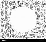 Bacteria Betrag Stellten Abgehobenen Zusammensetzung Corel Microorganism sketch template