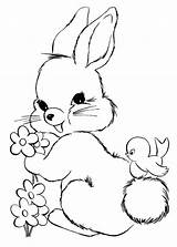 Colorare Conigli Disegni Kelinci Gambar Mewarnai Coniglio Pianetabambini Coniglietto Disegnare Coniglietti Lucu Pintarmewarnai Pasquali Binatang Versione sketch template