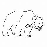 Ours Colorier Coloriages Animals sketch template