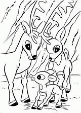 Rudolph Rudolf Reindeer Ausmalbilder Renne Renifer Nez Kolorowanki Disegni Rentier Nosed Malvorlagen Colorir Kolorowanka Colorat Dzieci Dla Nariz Naso Rosso sketch template