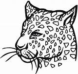 Leopard Coloring Pages Face sketch template