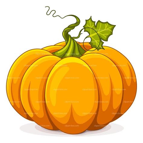 pumpkin party clip art pumpkin drawing pumpkin illustration pumpkin