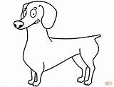 Coloring Dachshund Funny Pages Printable Categories sketch template