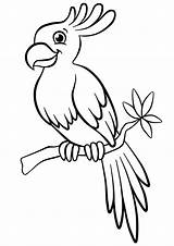 Coloring Pages Bird Getcolorings Birds sketch template