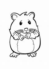 Hamster Coloriage Sheets Mascotas Fishes Bestcoloringpagesforkids sketch template