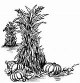 Fall Clipart Harvest Clip Thanksgiving Tree Corn Stalk Pumpkin Coloring Graphics Vector Fairy Illustration Cliparts Clipartmag Library Book sketch template