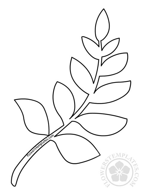 leafy branch template coloring flowers templates