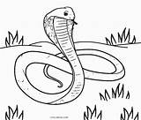 Coloring Pages Snake Snakes Animal Fangs Kids Printable Cool2bkids Popular sketch template