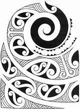Maori Polynesian Zealand Mandala Traditional Koru sketch template