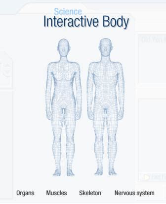 im   study  human body    remember   parts