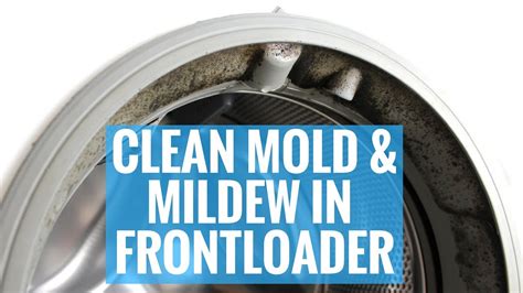 clean mold mildew  frontloader washer youtube